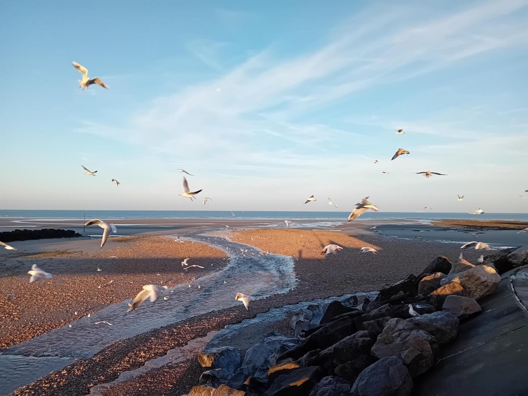 Thalassa Audresselles Kültér fotó